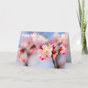 De schoonheid van de roze Sakura-bloemen Kaart