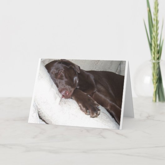 De Schoonheid van de slaap Kaart (Voorkant)