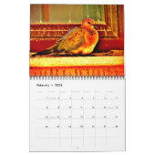 De schoonheid van Doves Kalender (Feb 2026)