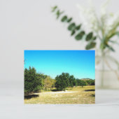 De schoonheid van het Briefkaart Bandera Texas (Staand voorkant)