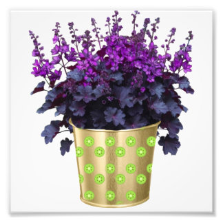 De schoonheid van kamerplanten en bloemen" Key Voc Foto Afdruk