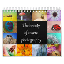 De schoonheid van macrofotografie