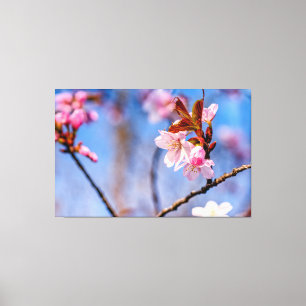 De schoonheid van verse kersenbloesem in de lente canvas afdruk
