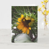 De schuwe Kaart van de Nota van de Zonnebloem (Gele Bloem)