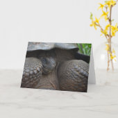 De schuwe Schildpad van de Galapagos Kaart (Gele Bloem)