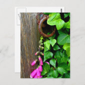 DE SECRET DEUR BRIEFKAART (Voorkant / Achterkant)