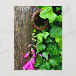 DE SECRET DEUR BRIEFKAART