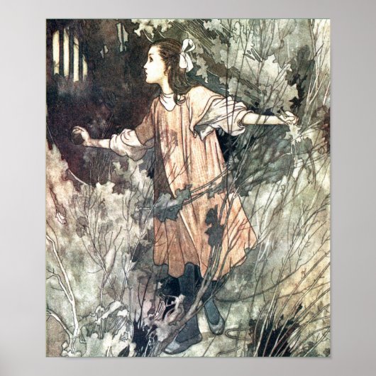 De Secret Garden  Book Illustration Poster (Voorkant)