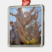 De Sentinel-boom Metalen Ornament (Links)