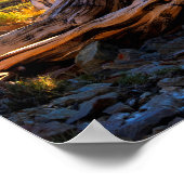 De Sentinel-boom Poster (Hoek)