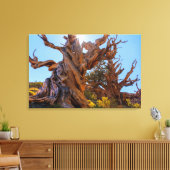 De Sentinel Tree Canvas Afdruk (Insitu (Woonkamer))