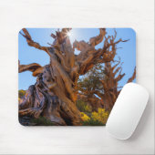 De Sentinel Tree Muismat (Met muis)