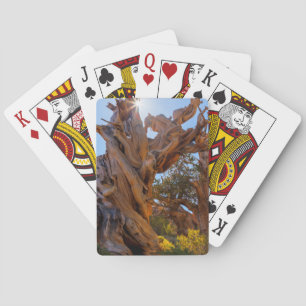 De Sentinel Tree Pokerkaarten