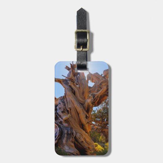 De Sentinelboom Bagagelabel (Voorkant verticaal)