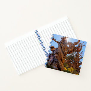 De Sentinelboom Notitieboek