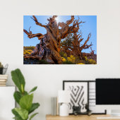 De Sentinelboom Poster (Thuiskantoor)