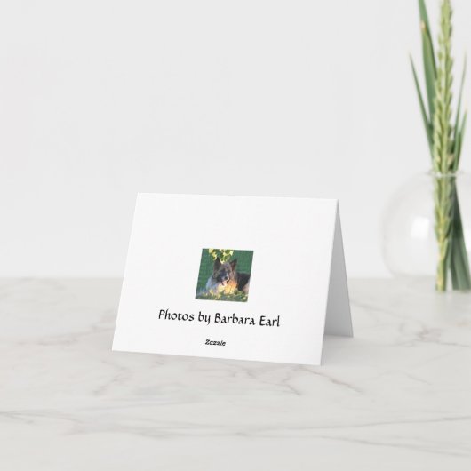 De sequoia kaart (Achterkant)