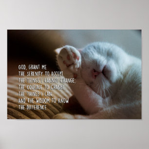 De Serenity Prayer Peaceful Cat Slaping Poster