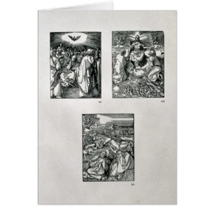 De serie "kleine passie"