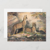 De Servale van Joseph Wolf Briefkaart (Voorkant / Achterkant)