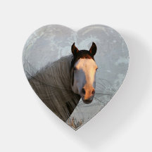 De Shaman Paperweight