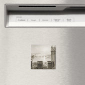 De Shannon en Limerick Magneet (Insitu (Vaatwasser))