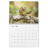 De Shenandoah à Massanutten Calendrier (Mar 2027)