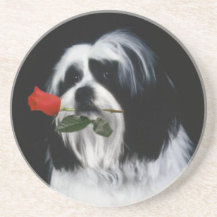De Shih Tzu Dog Zandsteen Onderzetter
