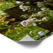 De Shy Horse Poster (Hoek)