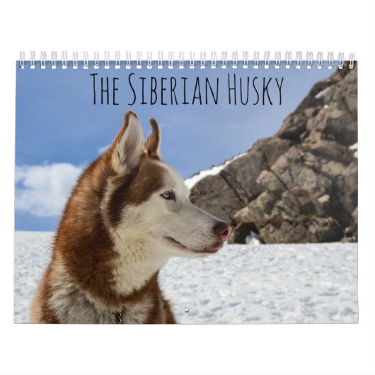 De Siberische Husky Kalender (Hoes)