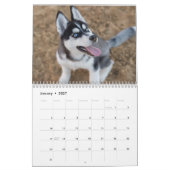 De Siberische Husky Kalender (Jan 2027)