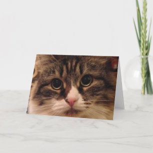 De Siberische Kaart van de Nota van de Kat Dichte