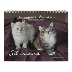 De Siberische Katjes Jan2012 van Katten - Kalender