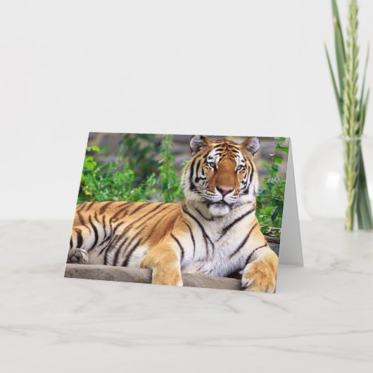 De Siberische Lege Kaart van de Tijger (Voorkant)