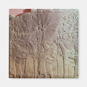 De Siege van Alammu door het leger van Sennacherib Magneet