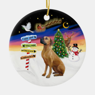 De Signs van Xmas - Ridgeback Rhodeis Keramisch Ornament