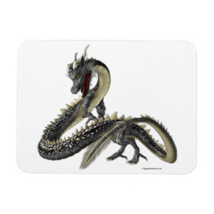 De Silver Dragon Magneet