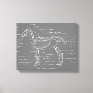 DE SITUATIE VAN DE HORSE CANVAS AFDRUK