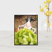 De SLA bidt Kaart (Gele Bloem)