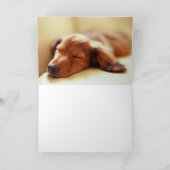 De slaap van de tekkel kaart (Binnen)