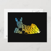 " De slaapzebra " Briefkaart (Voorkant / Achterkant)