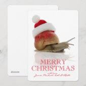De Slak van Kerstmis Feestdagenkaart (Voorkant / Achterkant)