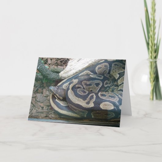 De Slang van de boa Kaart (Voorkant)