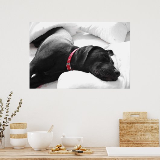 De slapende hond poster (Keuken)