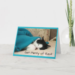 De slapende kat krijgt een goede Kaart