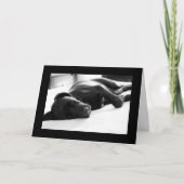 De slaperige Labrador van het Puppy Kaart (Voorkant)