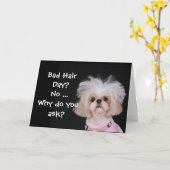 De slechte Dag van het Haar? Kaart (Gele Bloem)