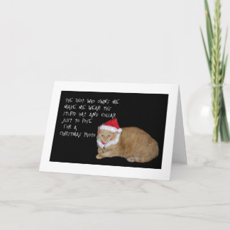 De slechte Kerstkaart van de Kat van de Kerstman Feestdagen Kaart