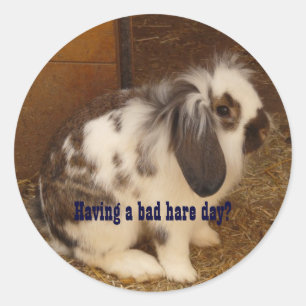 De slechte Stickers van de Dag van Hazen