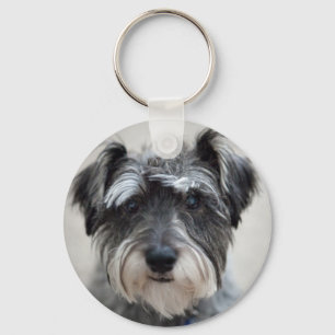 De Sleutelhanger van de Hond van Schnauzer